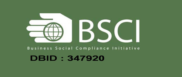 BSCI certified denim manufacturer, Artistic Denim Mills