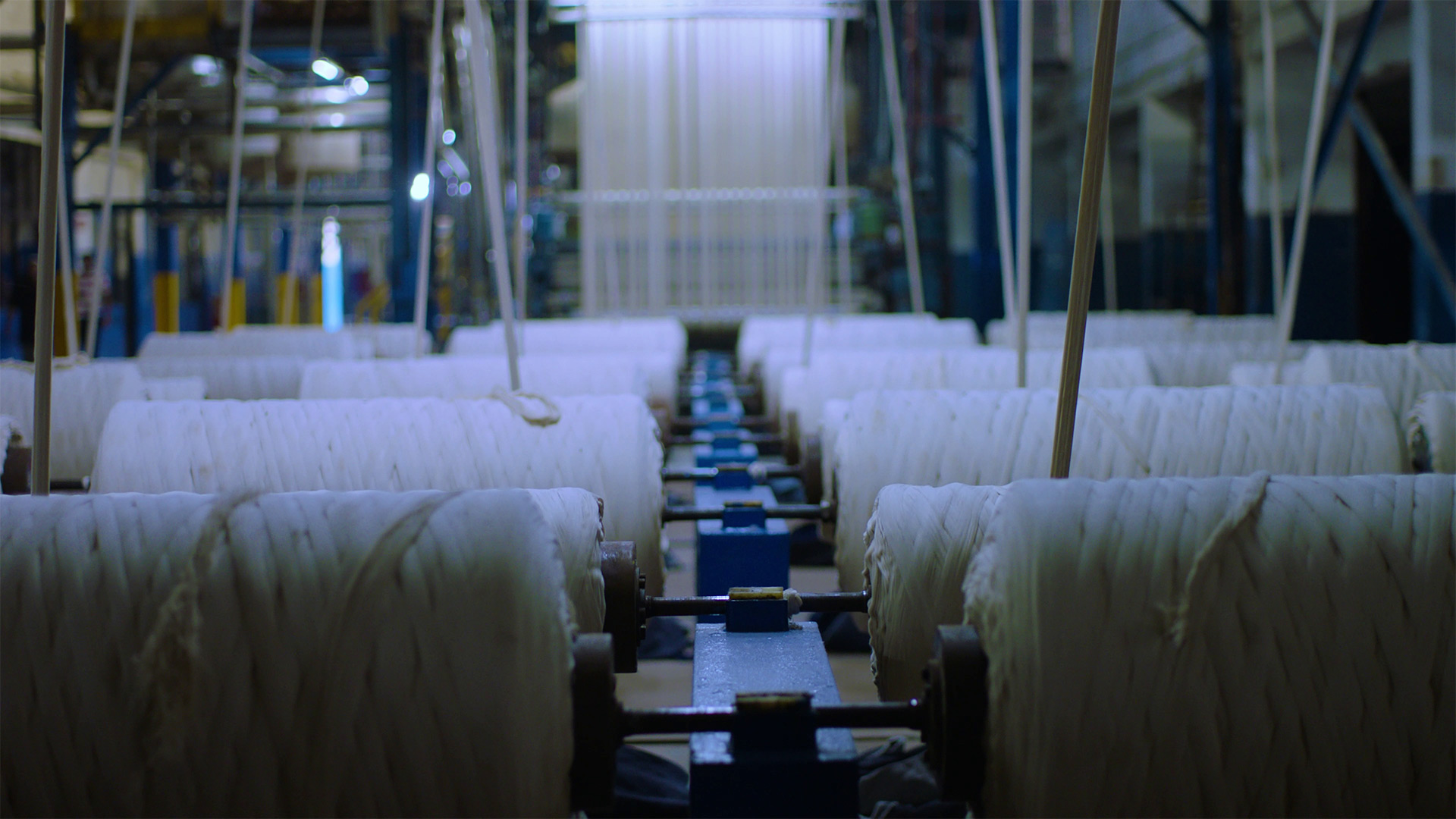 Indigo Dyeing Facility